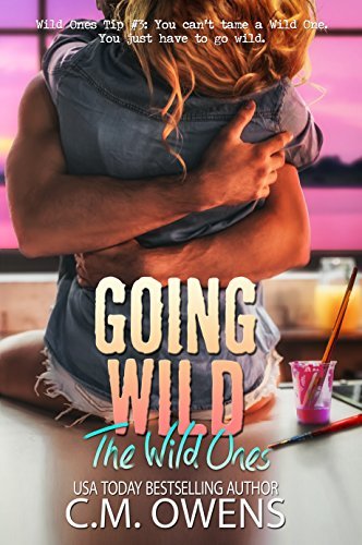 The Wild Ones book cover 2