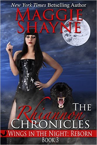 The Rhiannon Chronicles book cover