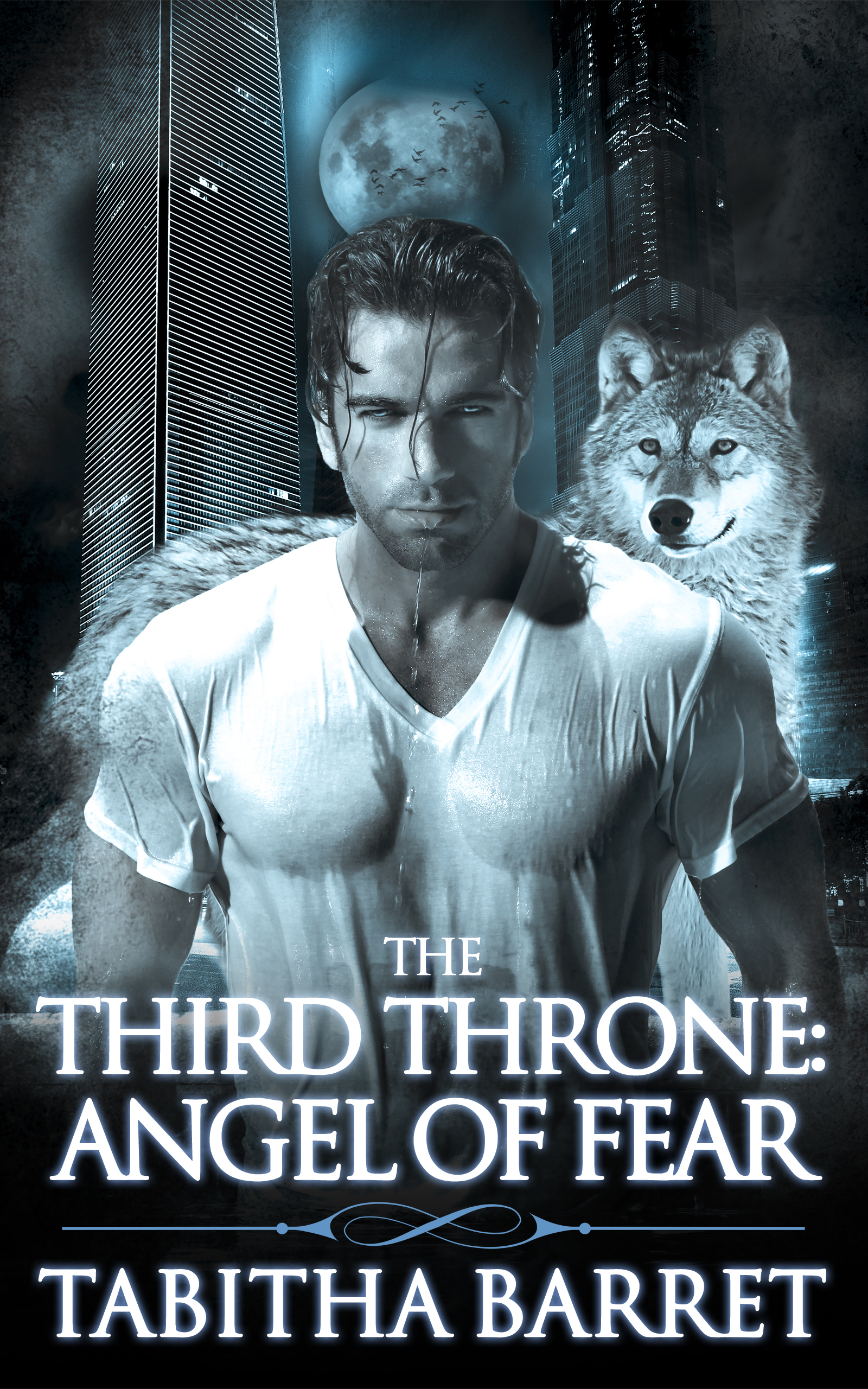 The Third Throne book cover