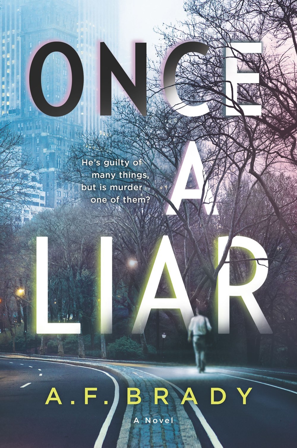 Once a Liar book cover