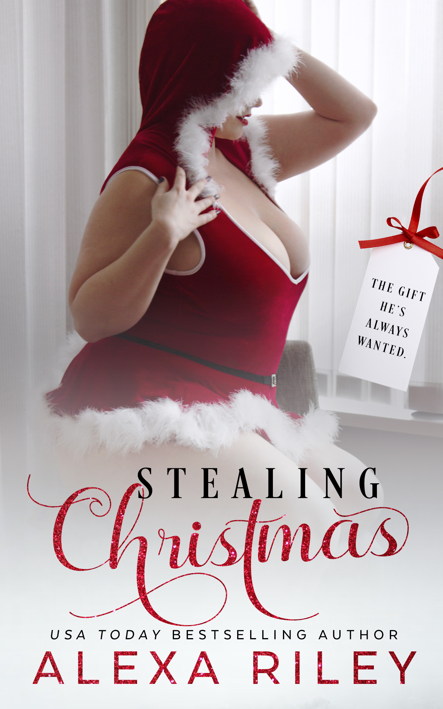 Stealing Christmas book cover
