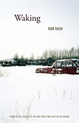 Waking book cover