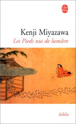 Les Pieds nus de lumière book cover