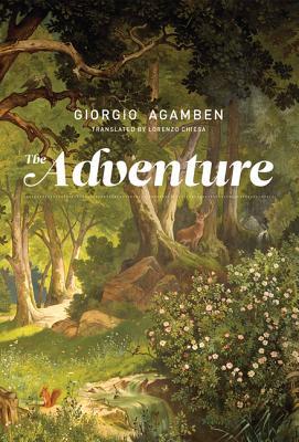 The Adventure book cover
