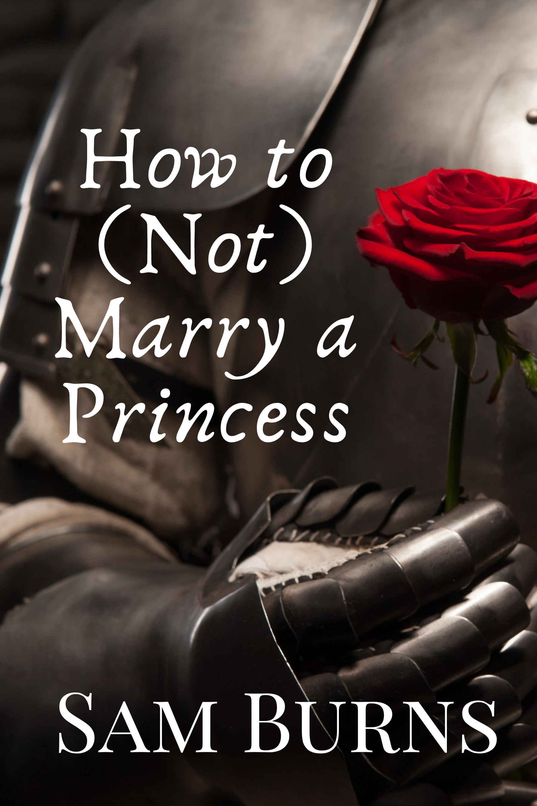 How to (Not) Marry a Princess book cover