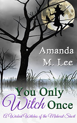 You Only Witch Once book cover