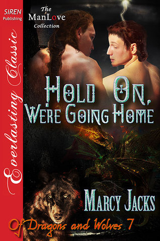 Hold On, We're Going Home book cover