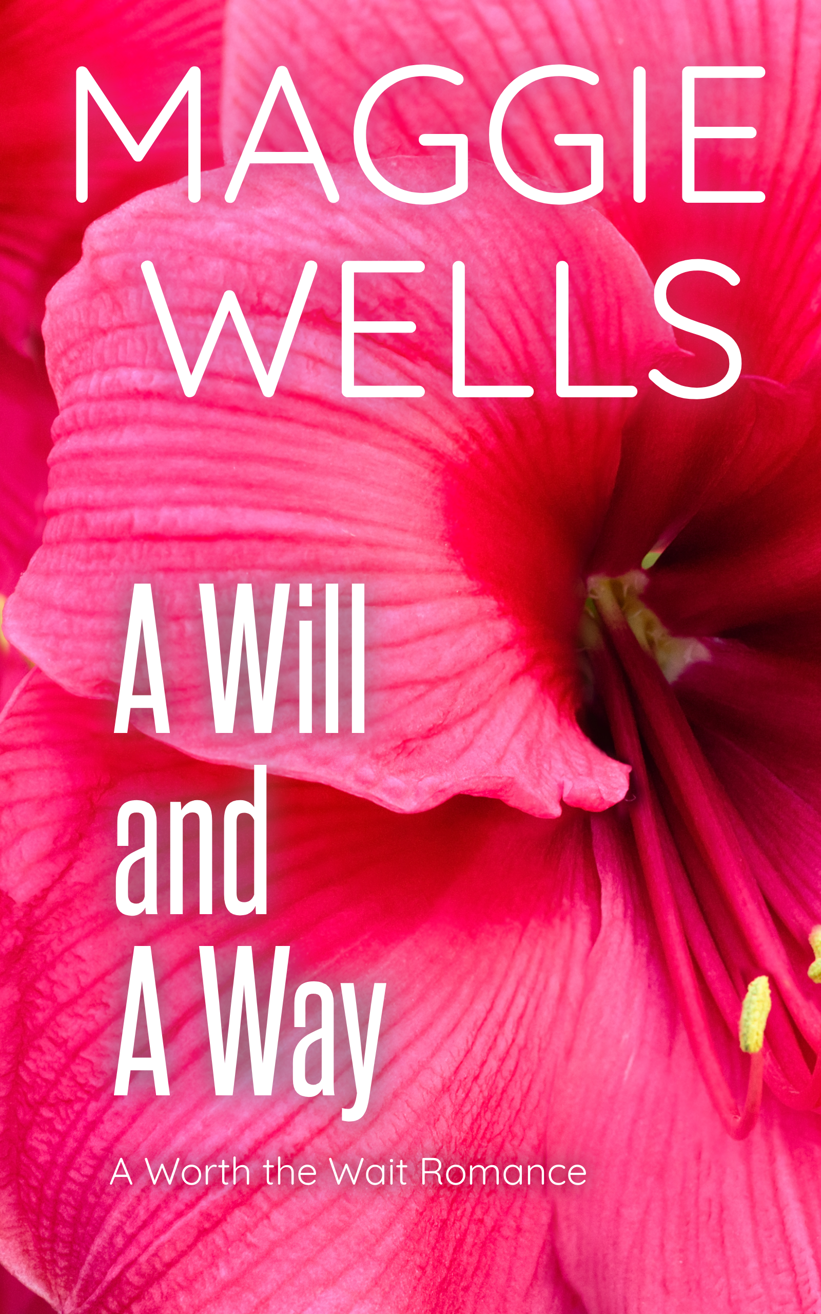Worth the Wait book cover 1