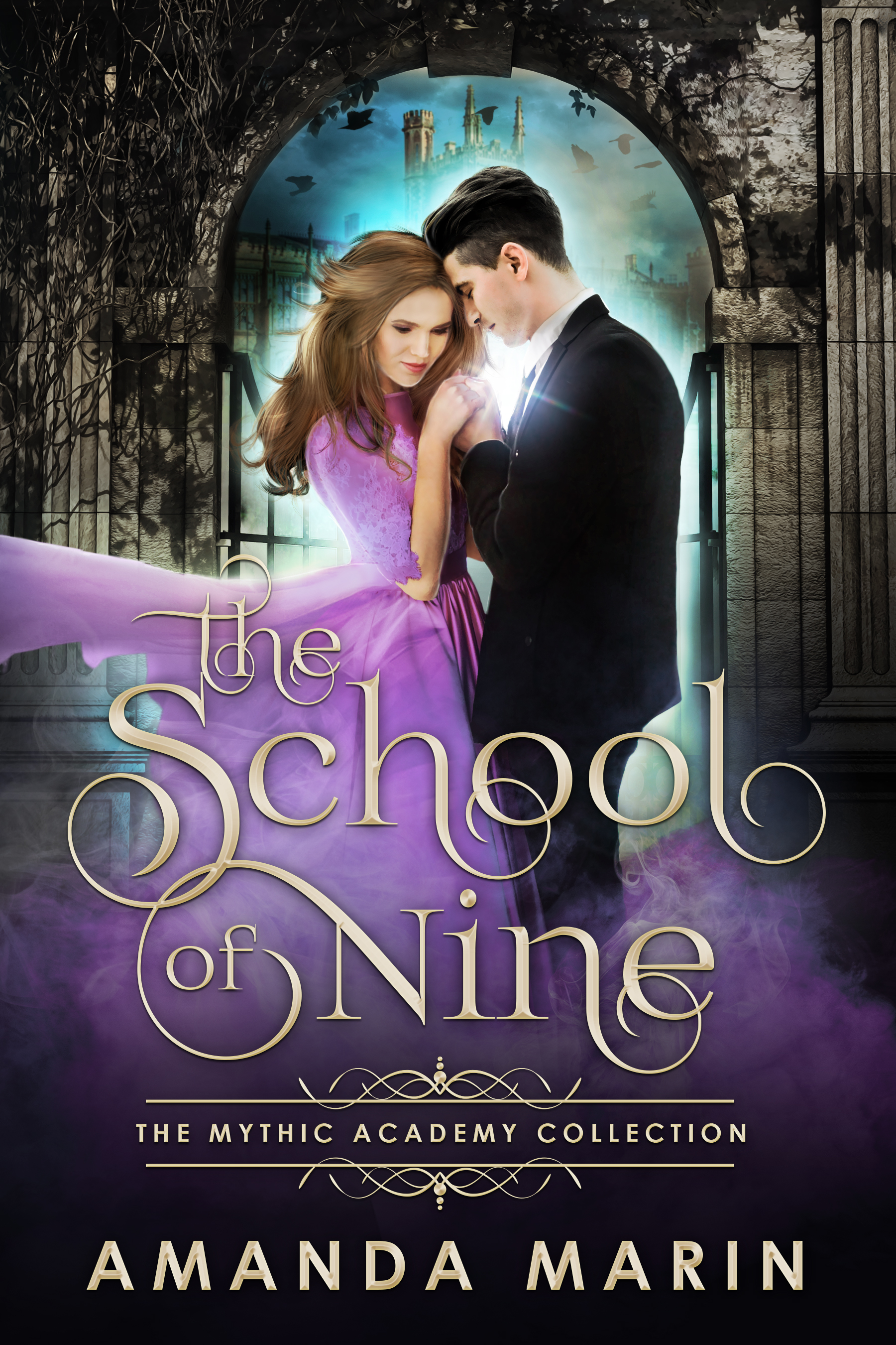 The School of Nine book cover
