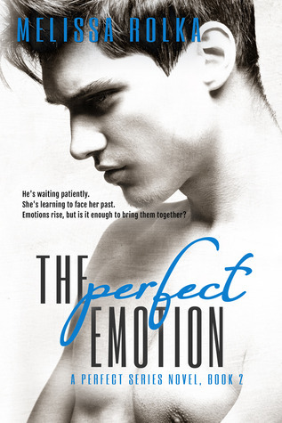 Perfect book cover 2
