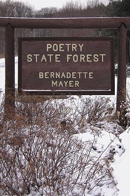 Poetry State Forest book cover