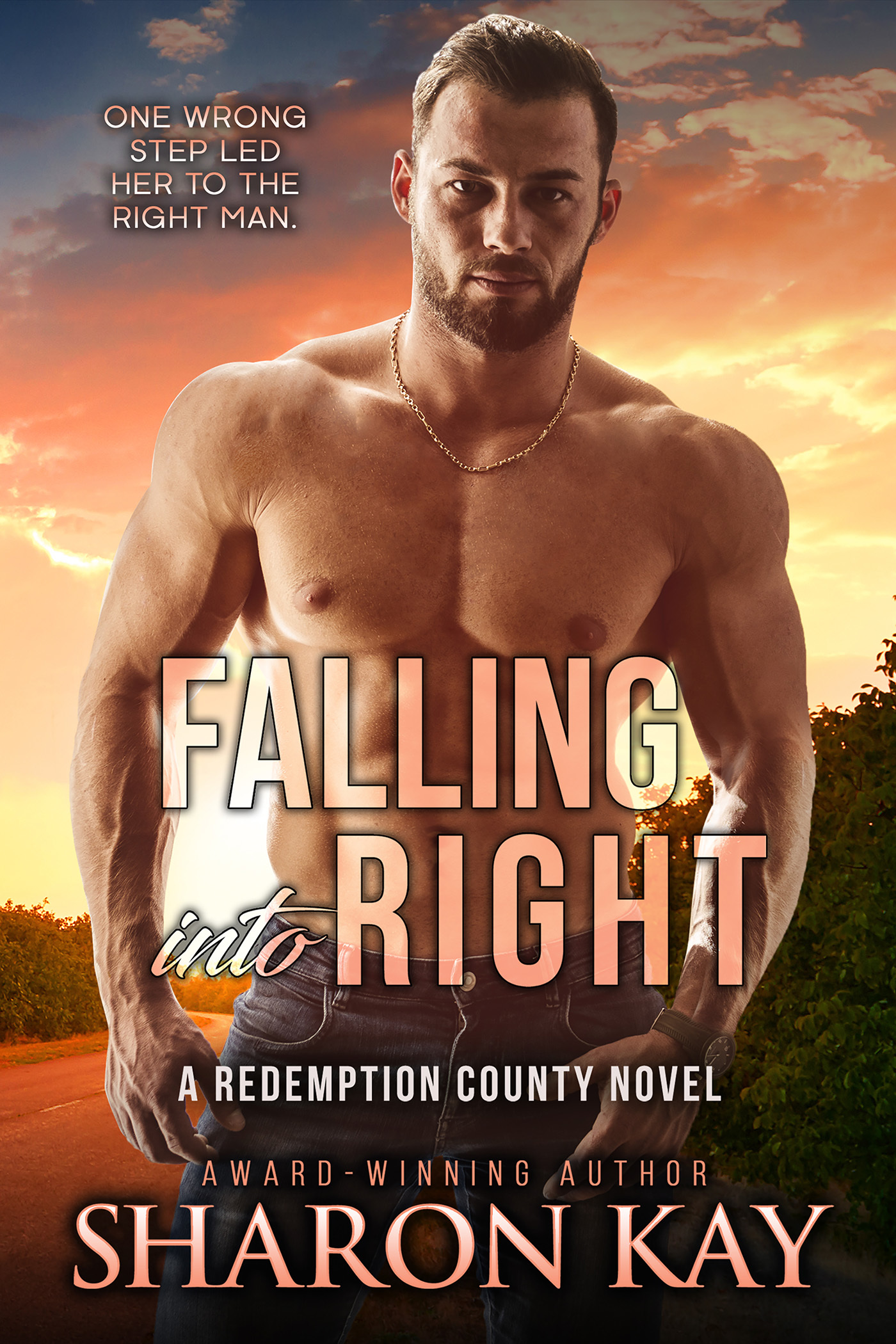 Redemption County book cover 2