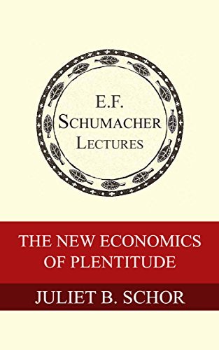 The New Economics of Plentitude book cover