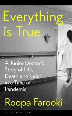 Everything Is True book cover