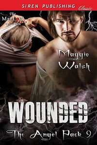 Wounded book cover
