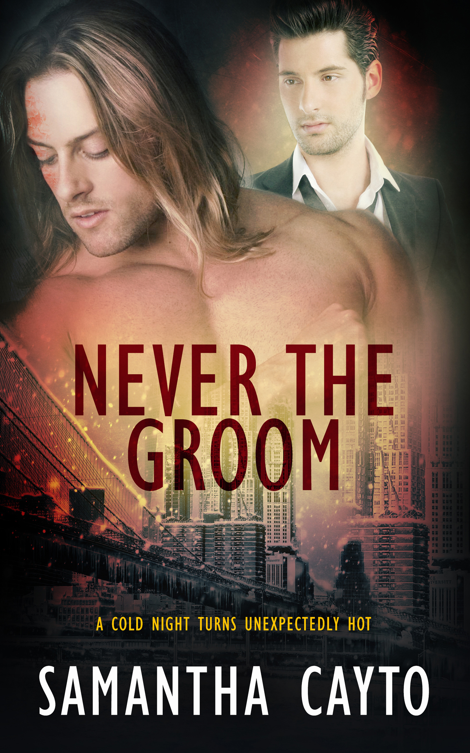 Never the Groom book cover