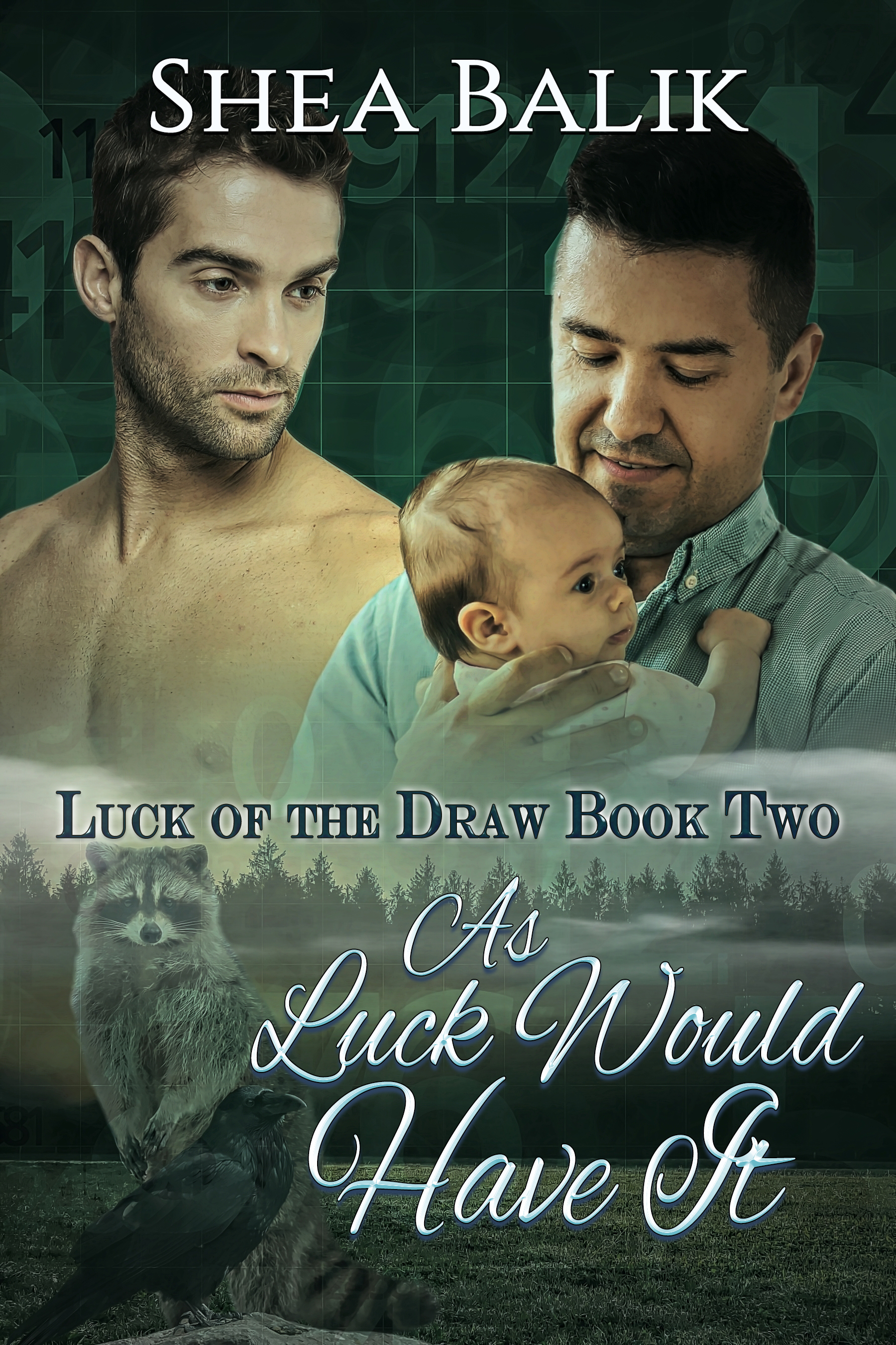 Luck of the Draw book cover 2