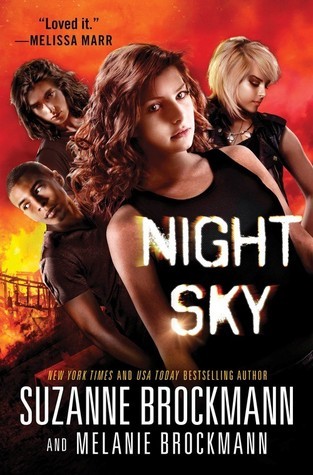Night Sky book cover 1