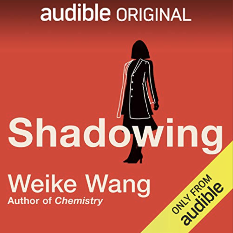 Shadowing book cover
