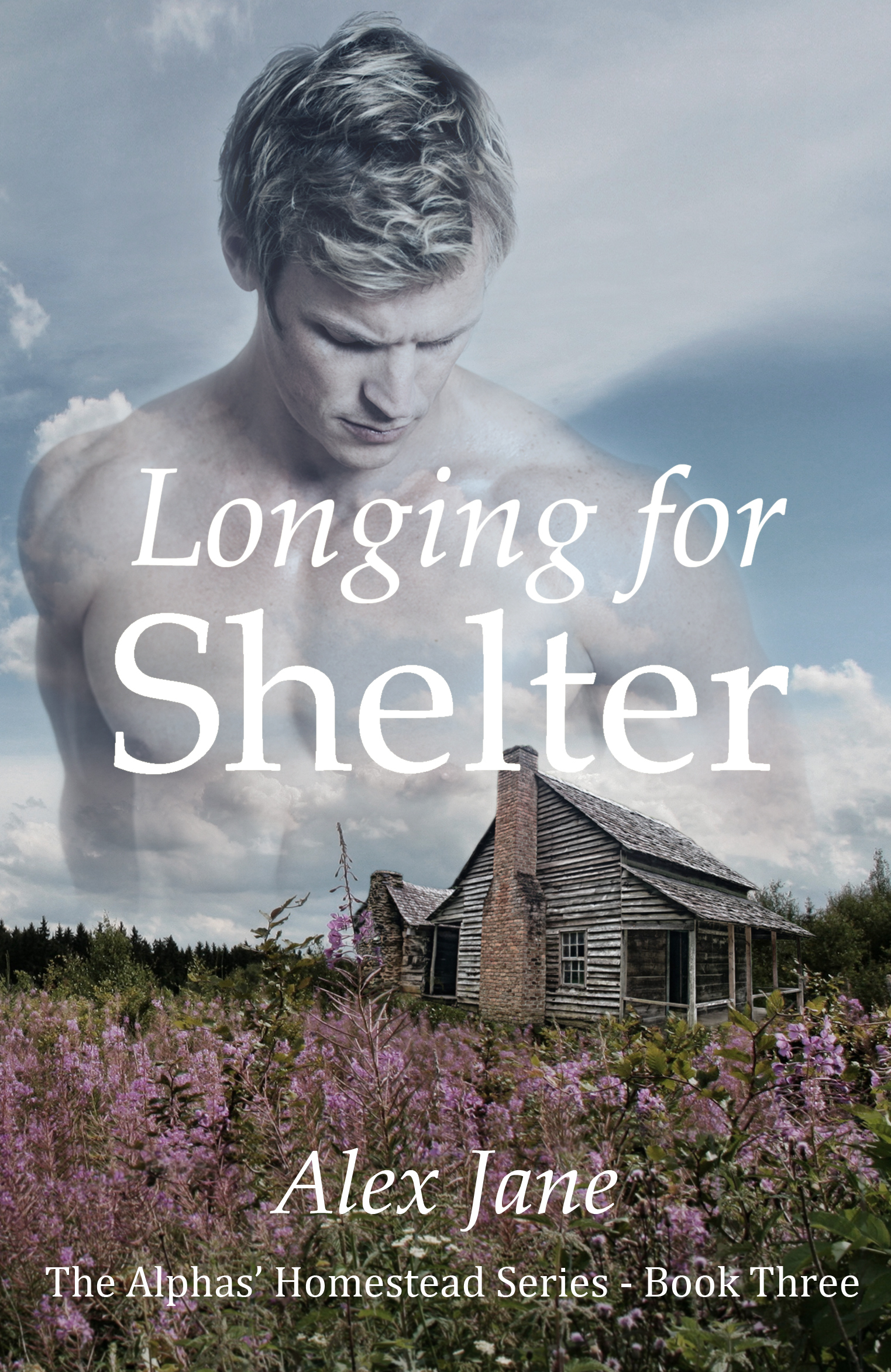 Longing for Shelter book cover