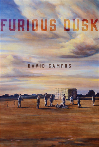 Furious Dusk book cover