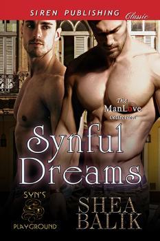 Syn's Playground book cover 1