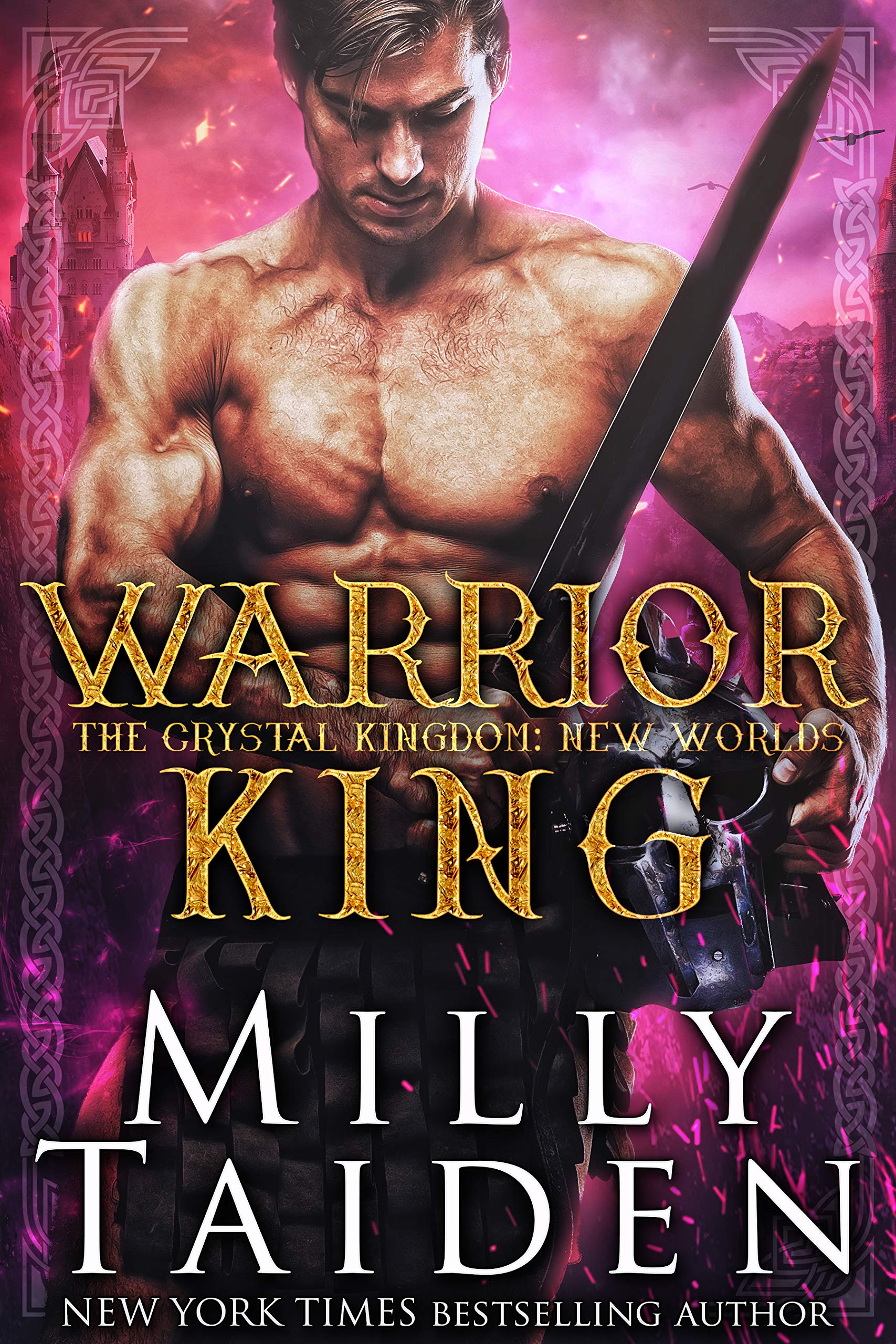 Warrior King book cover