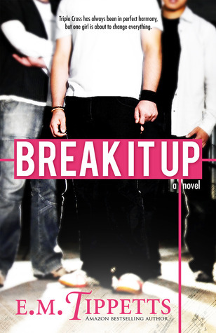 Break It Up book cover