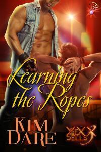 Sex Sells book cover 3