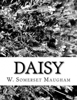 Daisy book cover