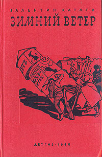 Зимний ветер book cover