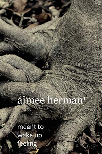 Meant to Wake Up Feeling book cover