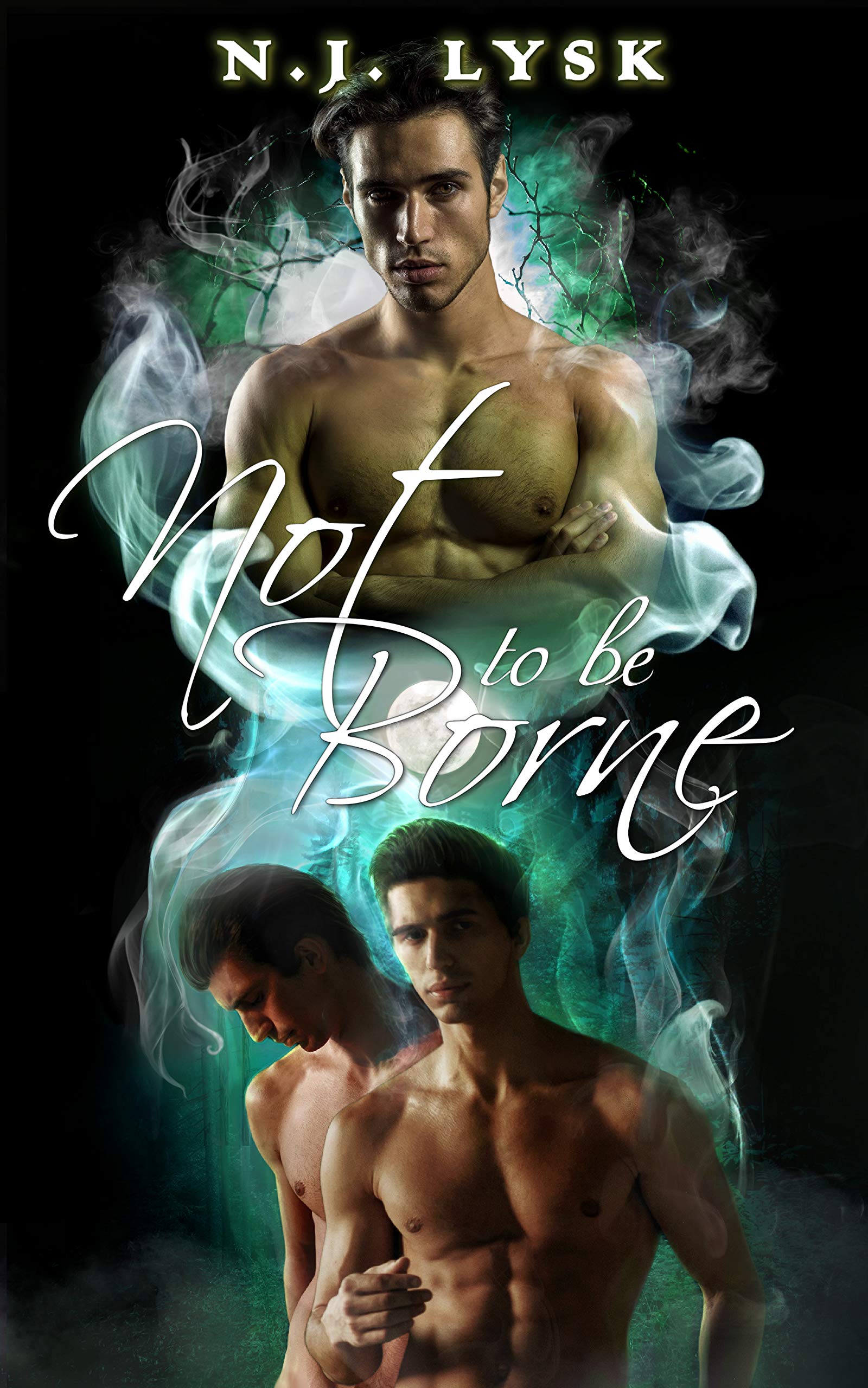 Intertwined Fates book cover 2