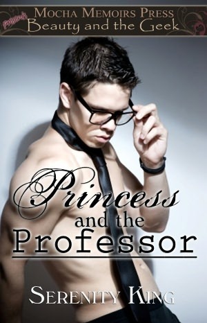 Princess and the Professor book cover