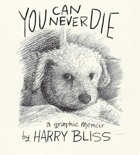 You Can Never Die book cover