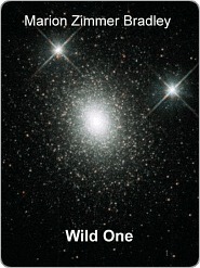 The Wild One book cover