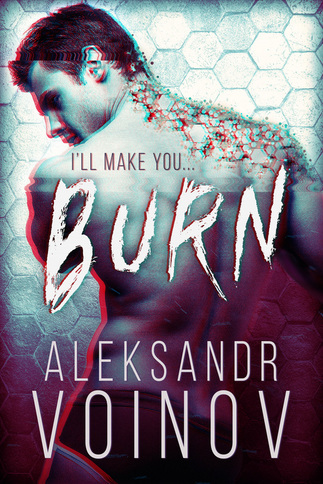 Burn book cover