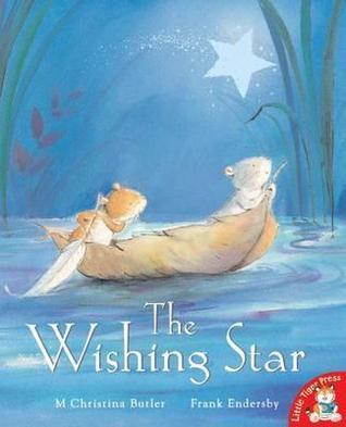 Wishing Star book cover