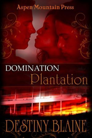 Southern Plantation book cover 1