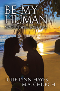 Moonlit Skies book cover 2