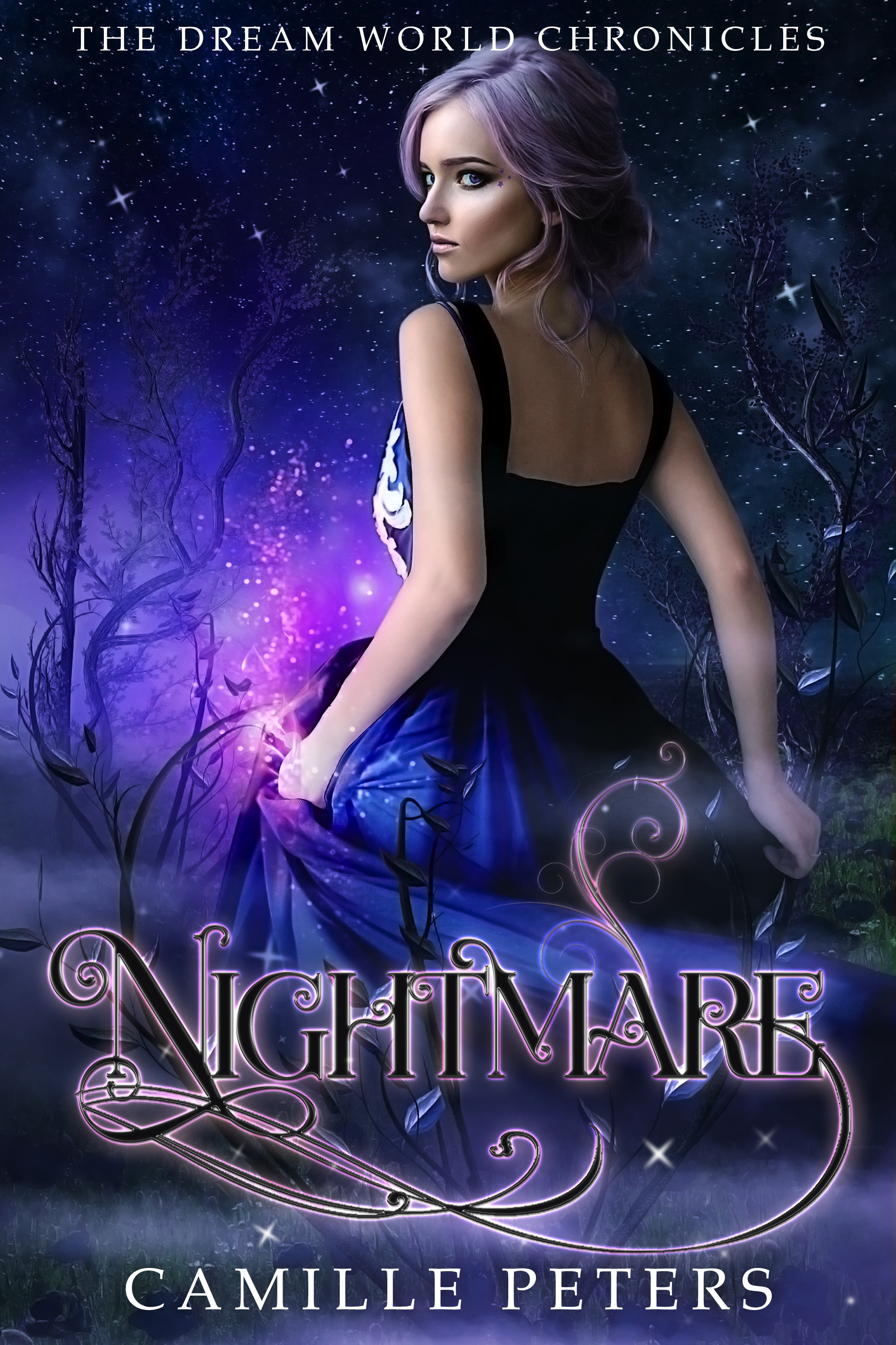The Dream World Chronicles book cover 2