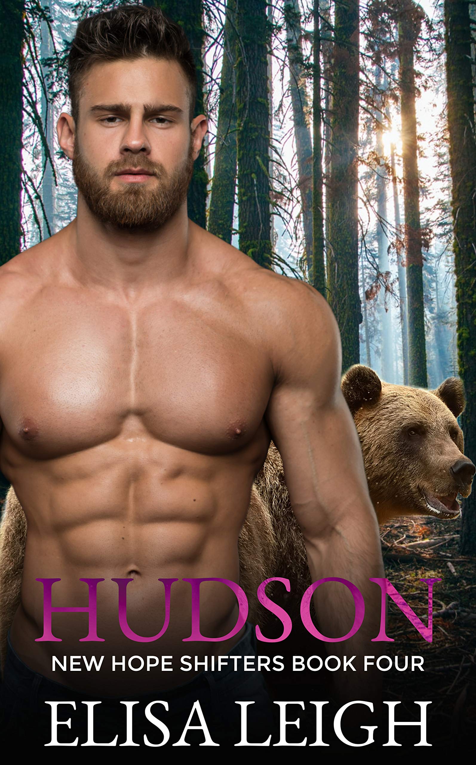 Hudson book cover