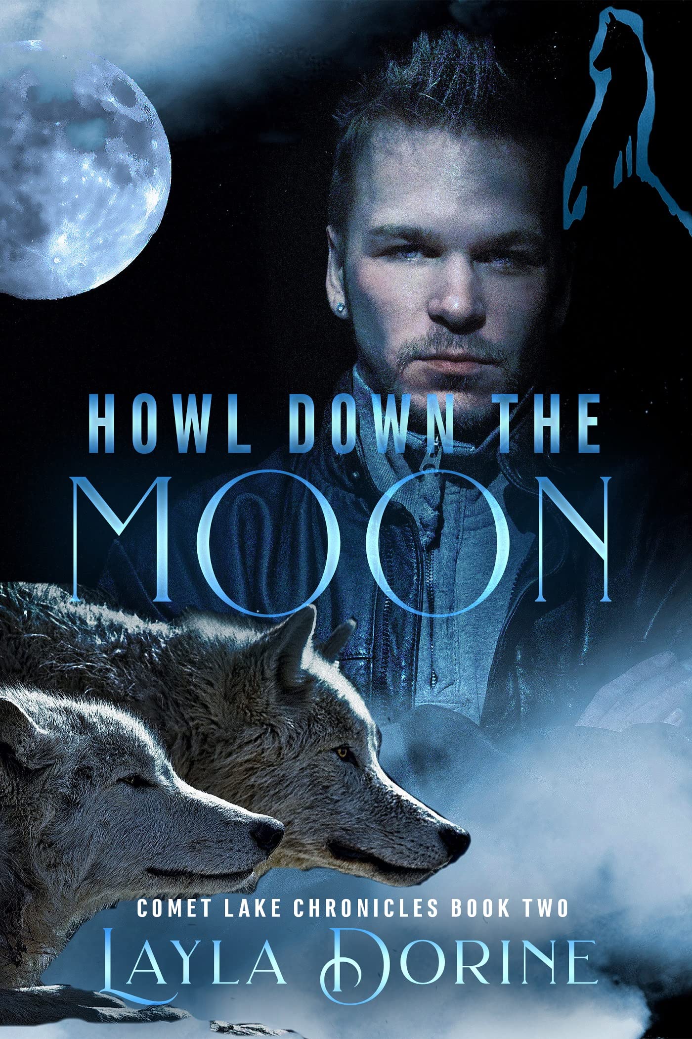 Comet Lake Chronicles book cover 2