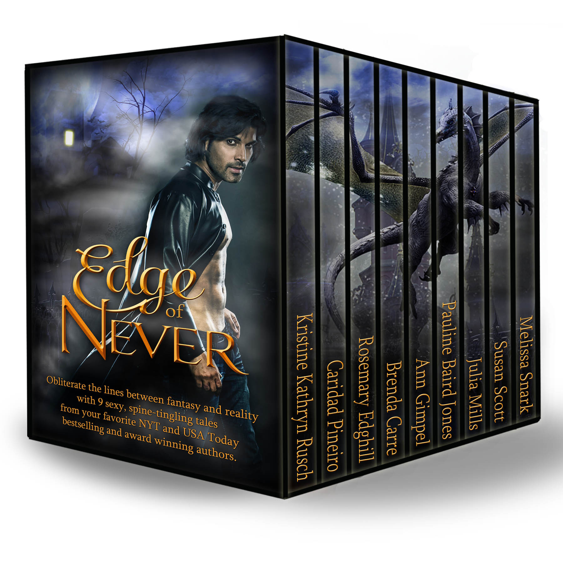 Edge of Never book cover