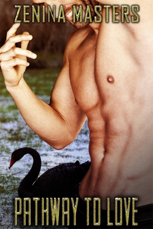 Pathway to Love book cover
