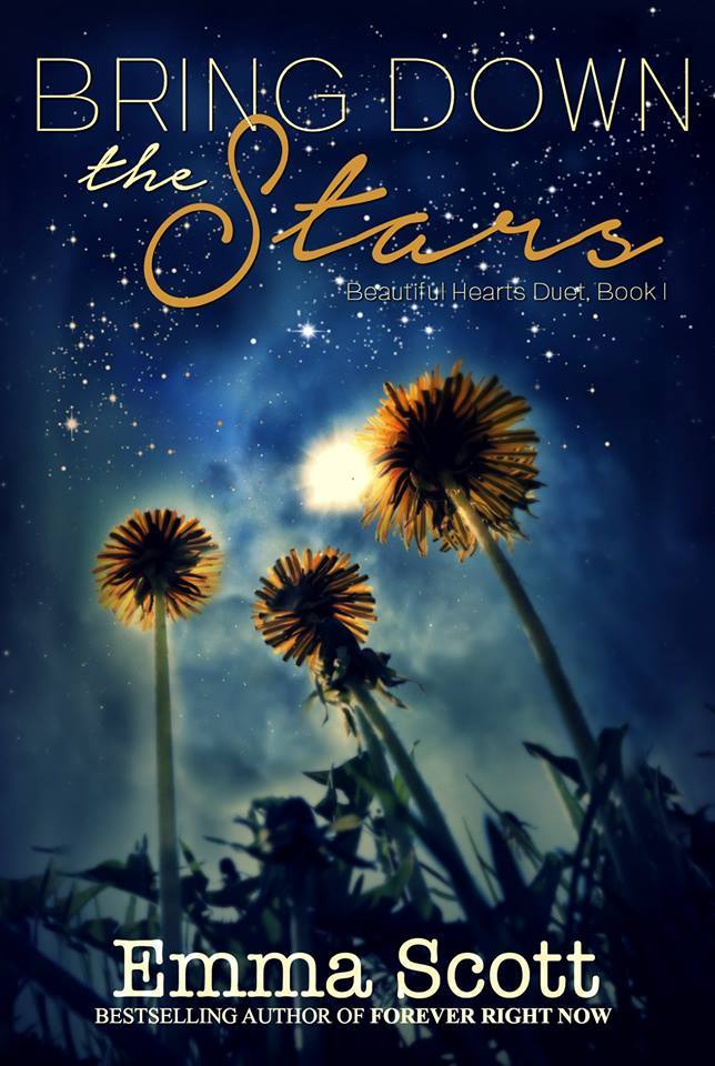 Beautiful Hearts book cover 1