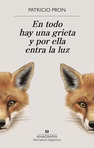 En todo hay una grieta y por ella entra la luz book cover