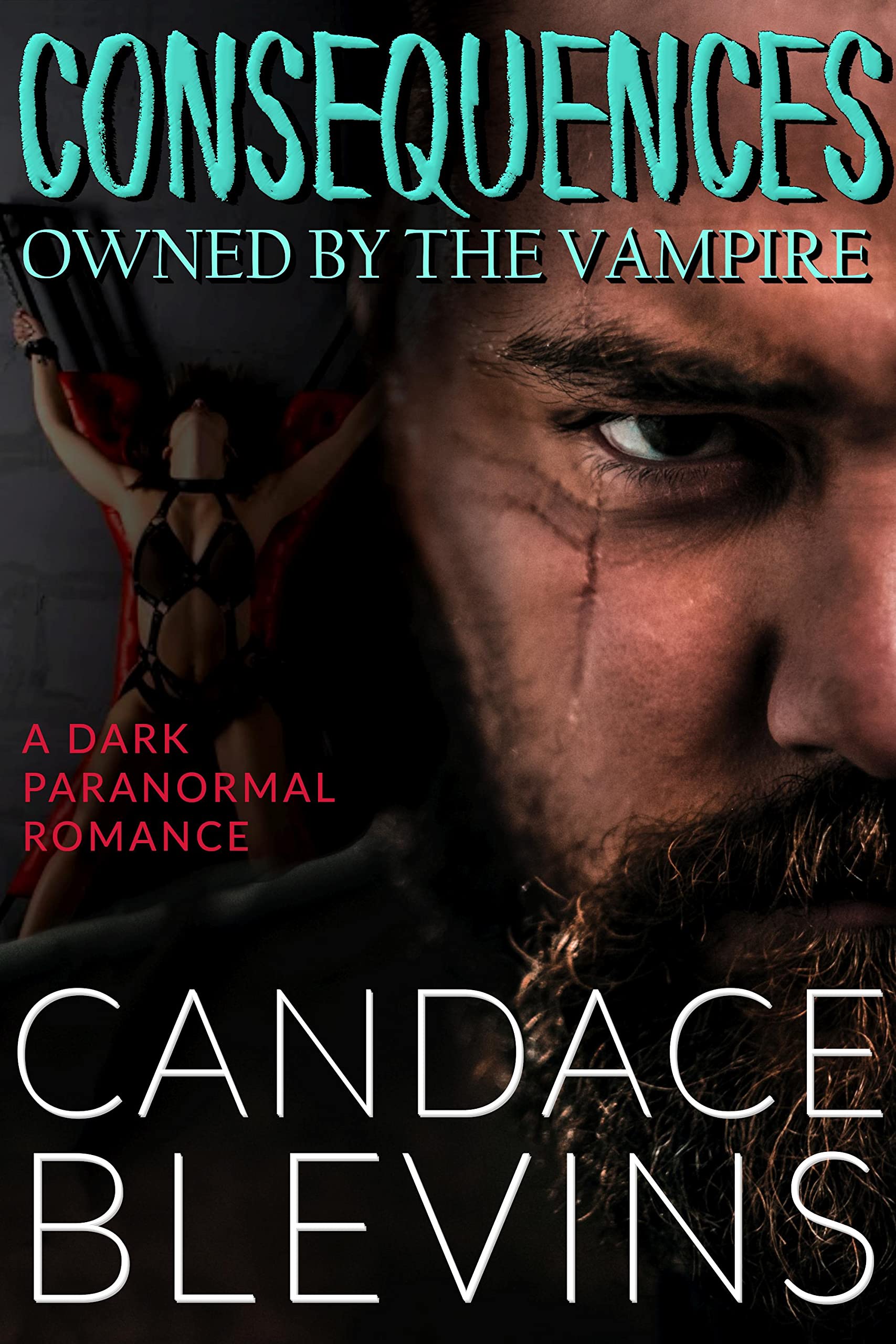 Consequences book cover