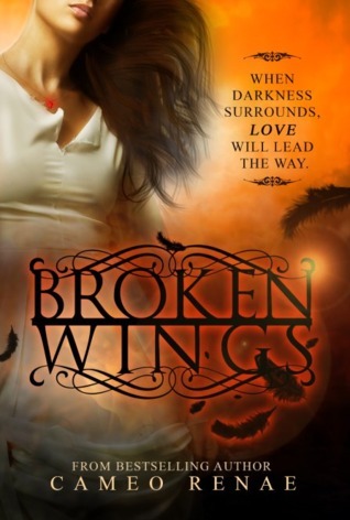 Hidden Wings book cover 2