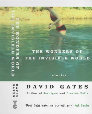 The Wonders of the Invisible World book cover